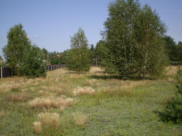 Działka rolno-budowlana Kaszewiec. Zdjęcie 5