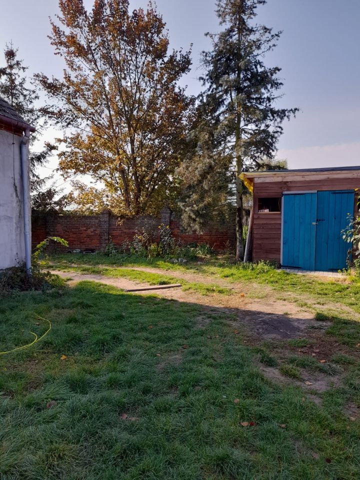 Działka rolna Ściechów. Zdjęcie 5