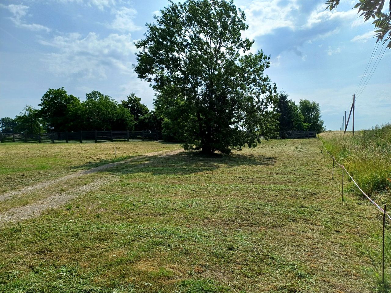 Działka budowlana Młodasko, ul. Kaźmierska. Zdjęcie 14