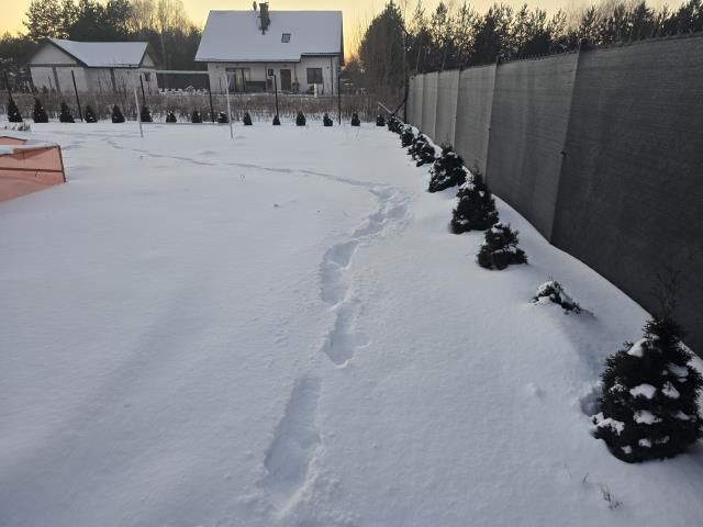 dom wolnostojący, 4 pokoje Sitne. Zdjęcie 5