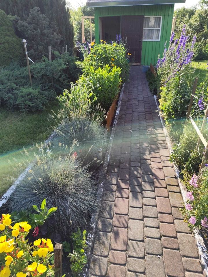 Działka rod Olsztyn Zatorze. Zdjęcie 3