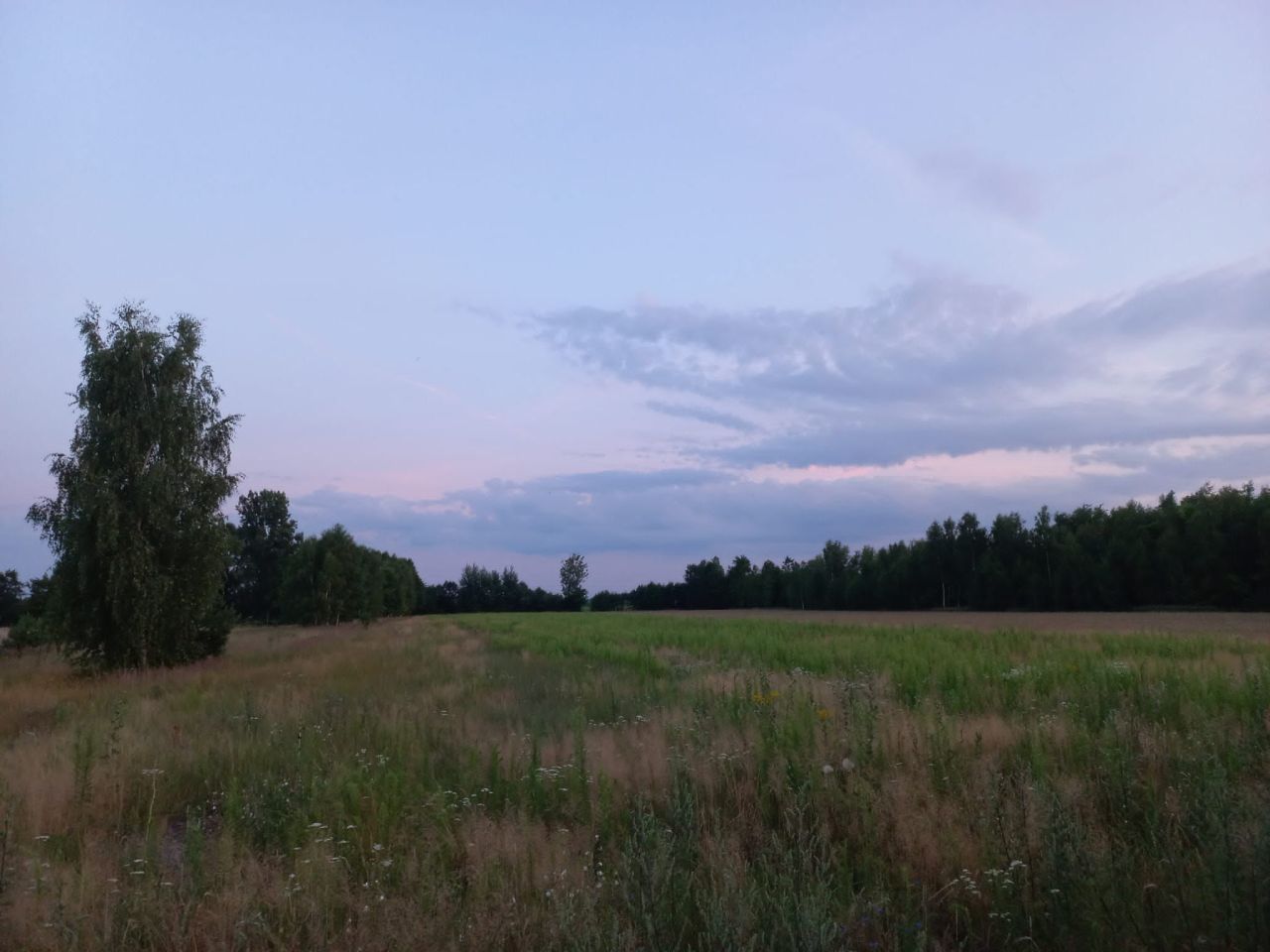 Działka budowlana Pomiary. Zdjęcie 9