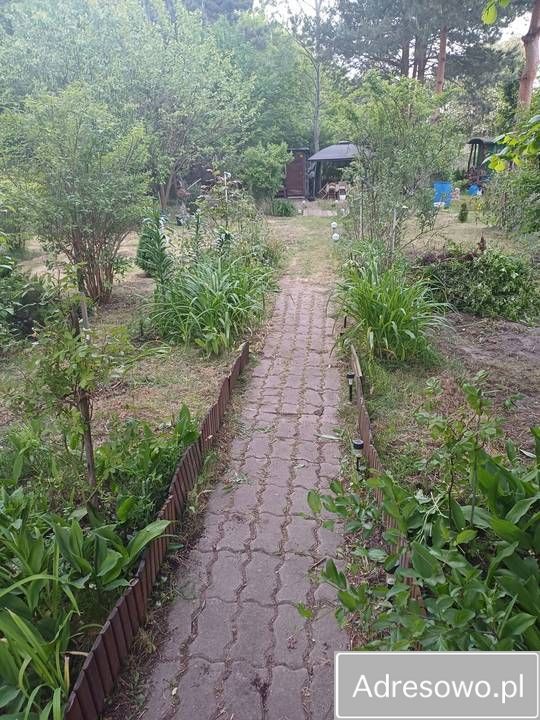 Działka rod Warszawa Targówek, ul. Swojska. Zdjęcie 3