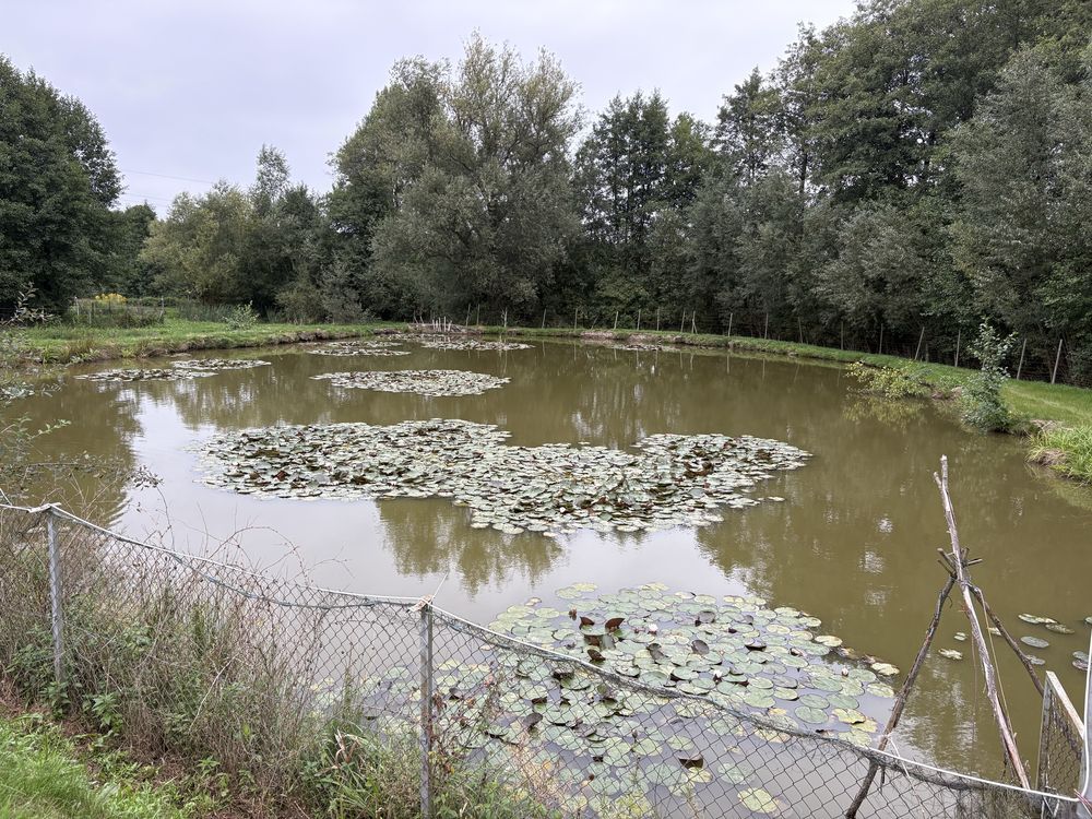 Działka Wojciechów. Zdjęcie 3