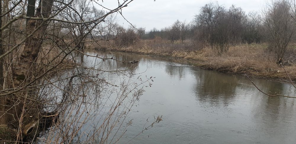 Działka rekreacyjna Kołbiel. Zdjęcie 2