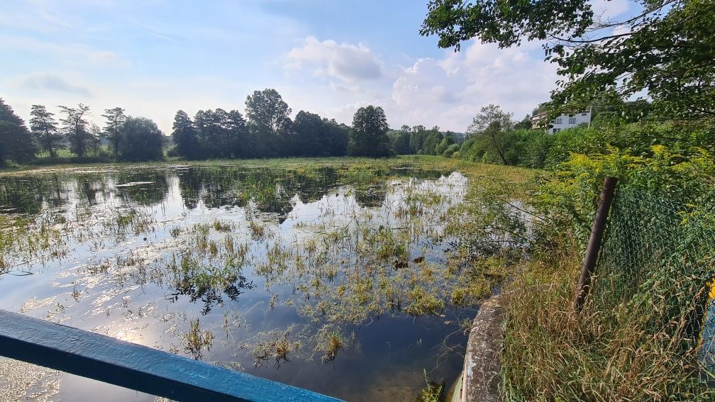 Działka budowlana Domaniewice. Zdjęcie 4