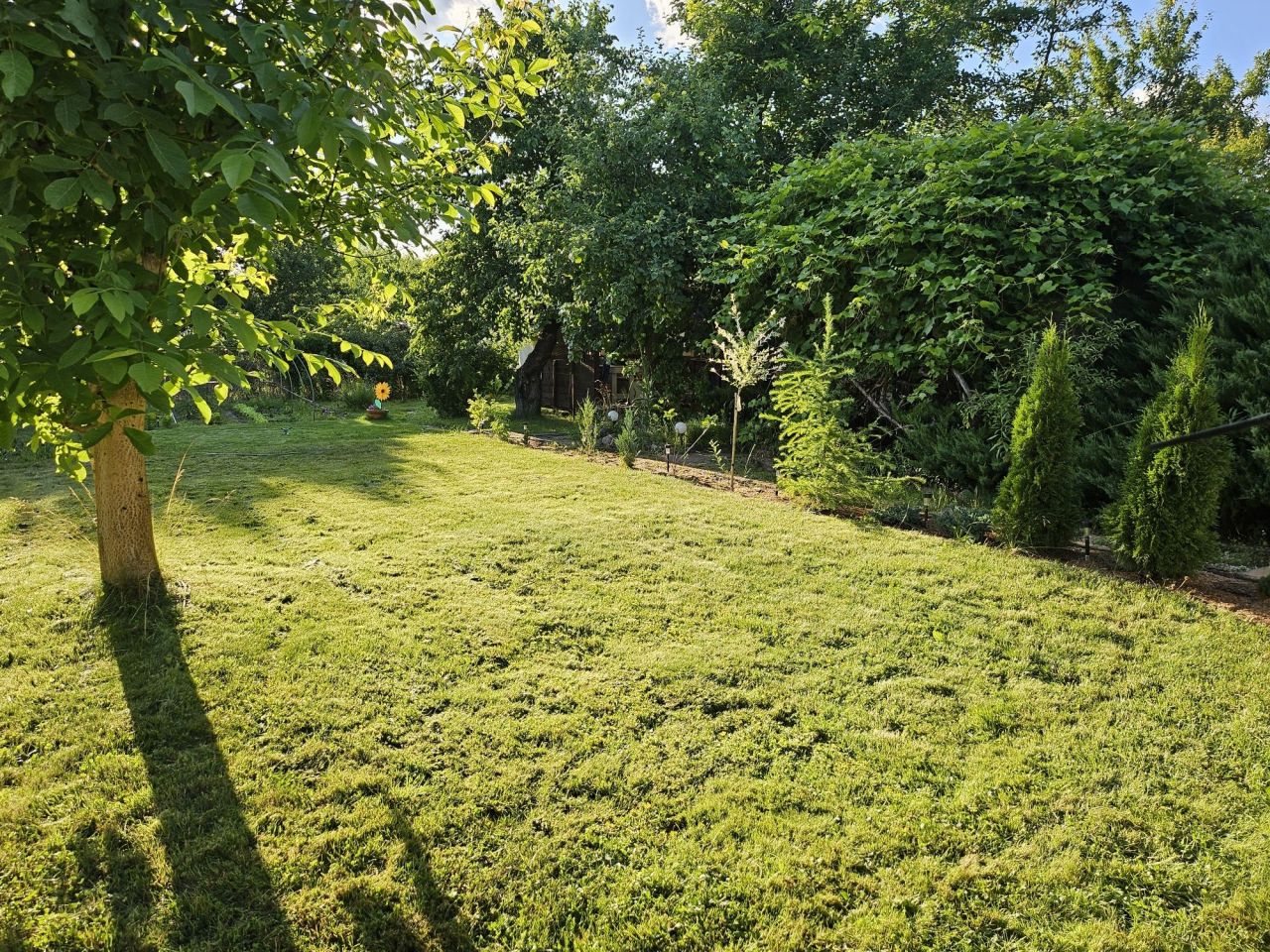 Działka rod Wałcz Centrum, ul. Ciasna. Zdjęcie 4