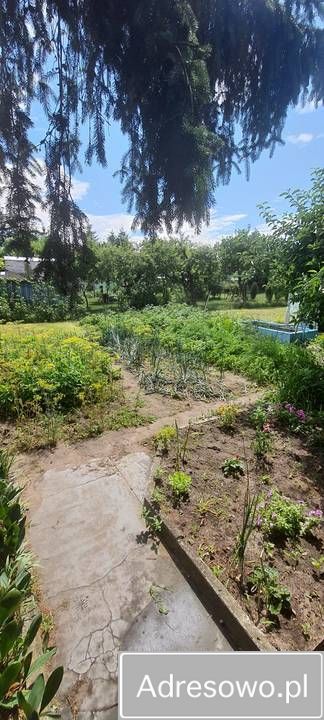 Działka rod Ostrowiec Świętokrzyski, ul. Grabowiecka. Zdjęcie 5