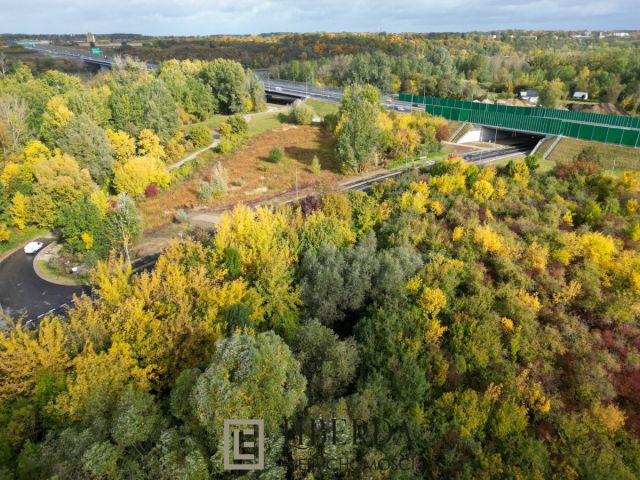 Działka inwestycyjna Sady, ul. Główna. Zdjęcie 4