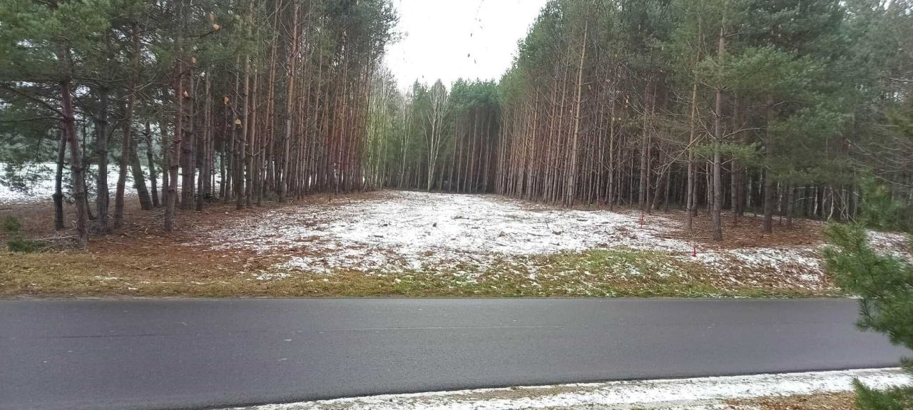 Działka budowlana Okna. Zdjęcie 3