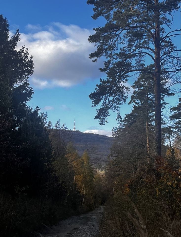 dom wolnostojący Sulistrowiczki. Zdjęcie 2