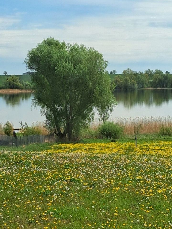Działka Rodowo Małe. Zdjęcie 3