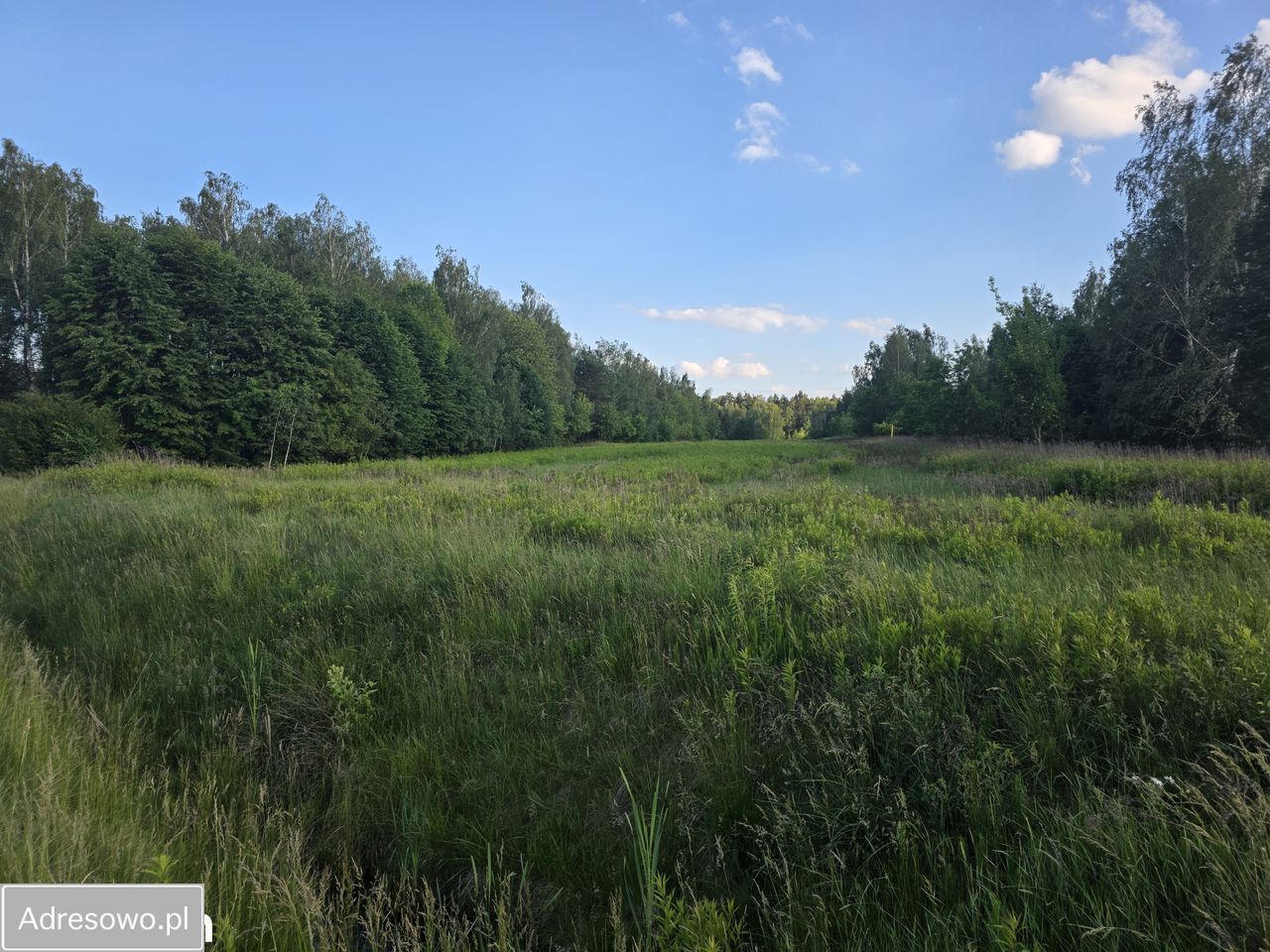 Działka inwestycyjna Wola Karczewska. Zdjęcie 8