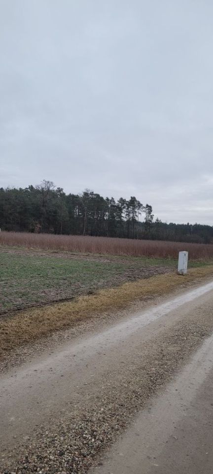 Działka budowlana Stare Prażuchy. Zdjęcie 2