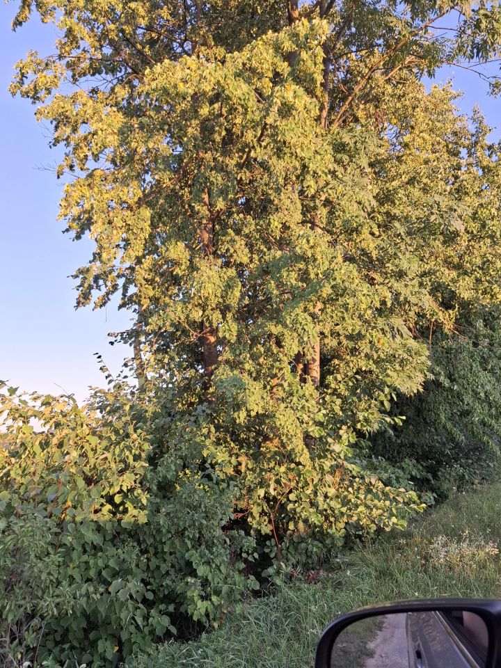 Działka rolno-budowlana Pęchratka Polska. Zdjęcie 7
