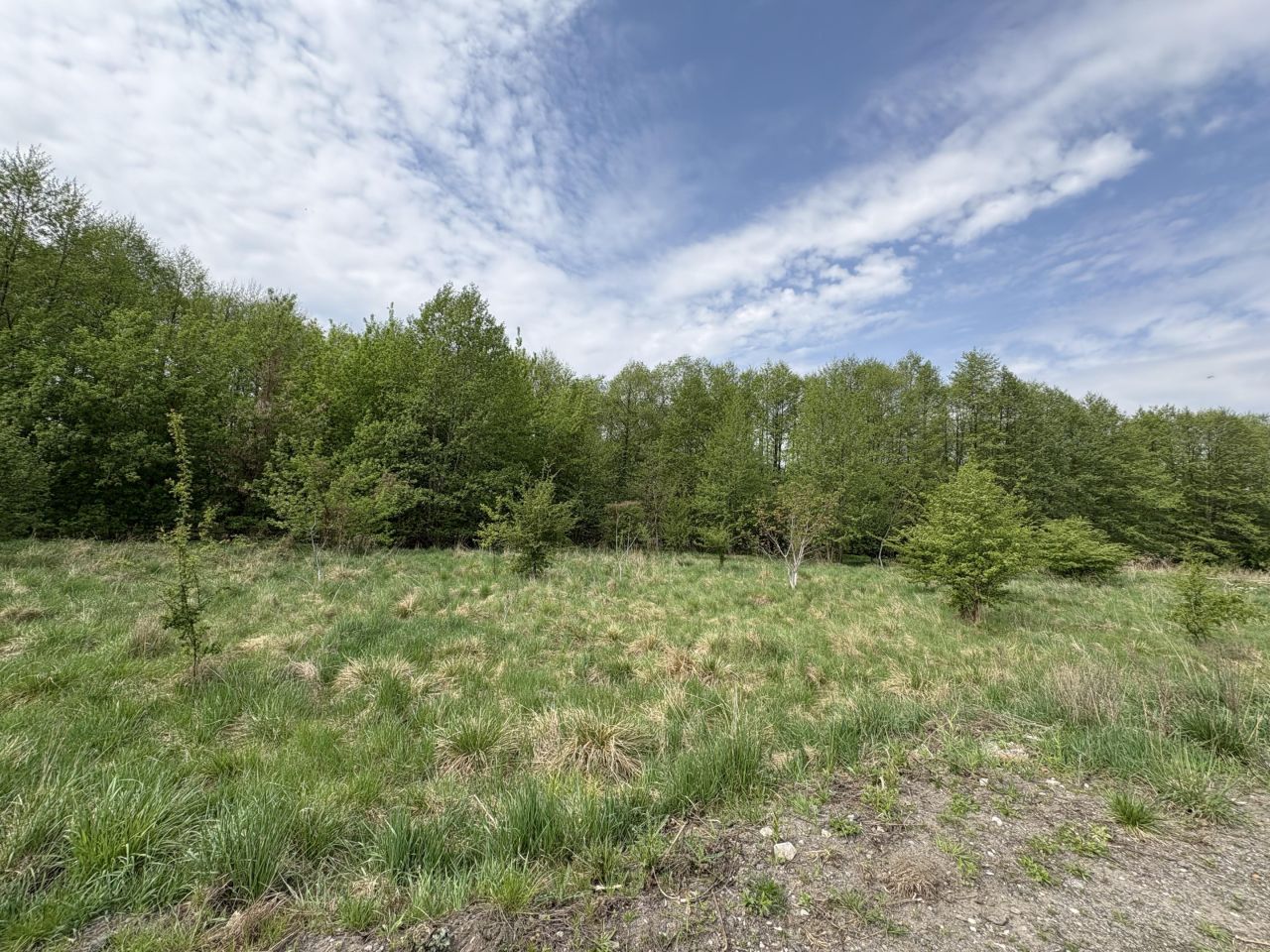 Działka budowlana Brwinów. Zdjęcie 4