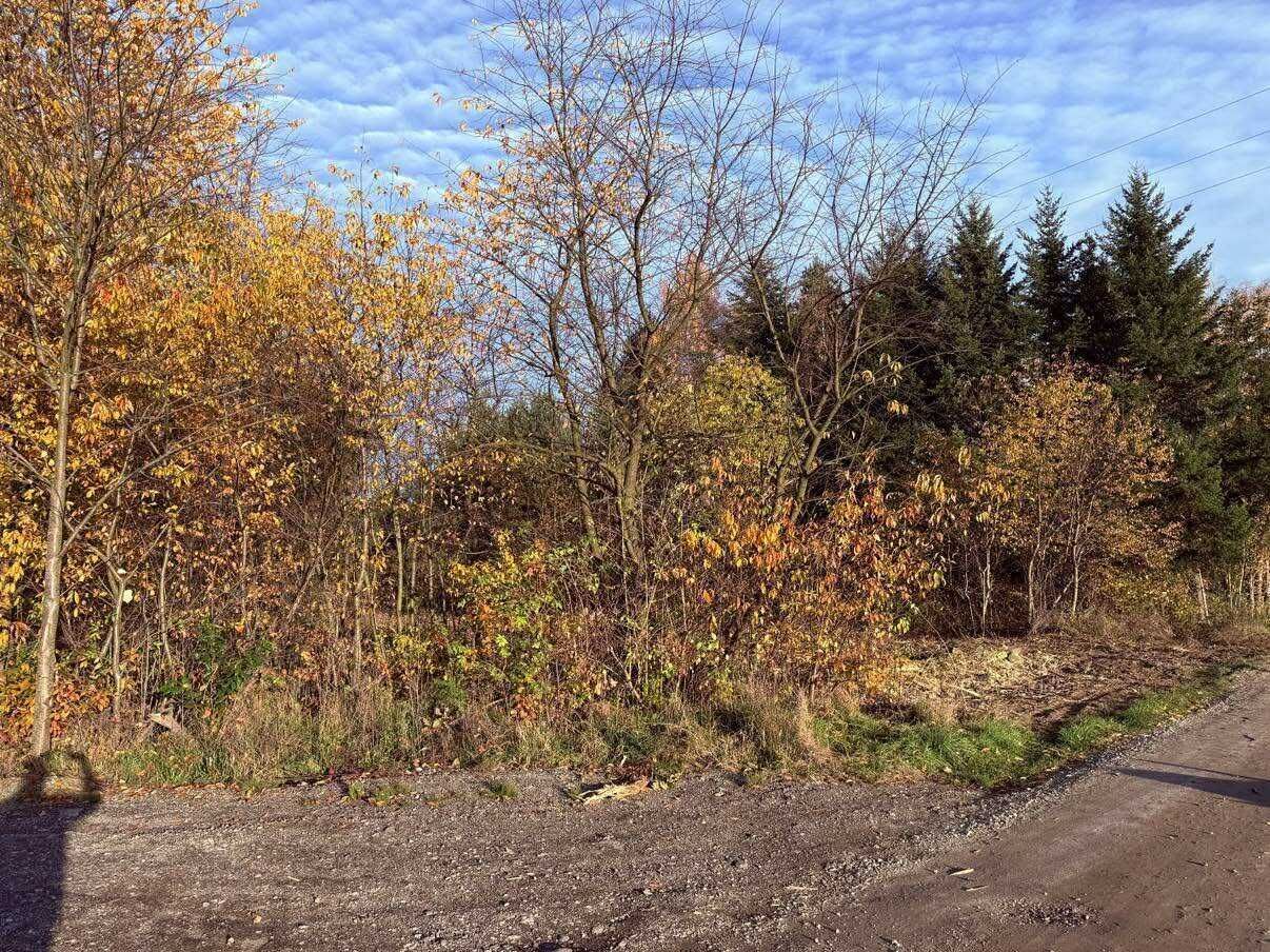 Działka budowlana Warszewice. Zdjęcie 4