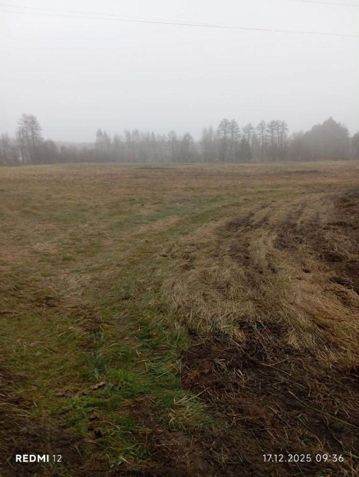 Działka budowlana Cegielnik. Zdjęcie 4