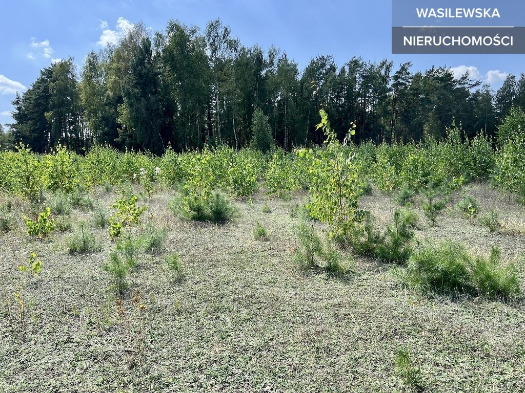 Działka budowlana Rząśnik Szlachecki. Zdjęcie 11