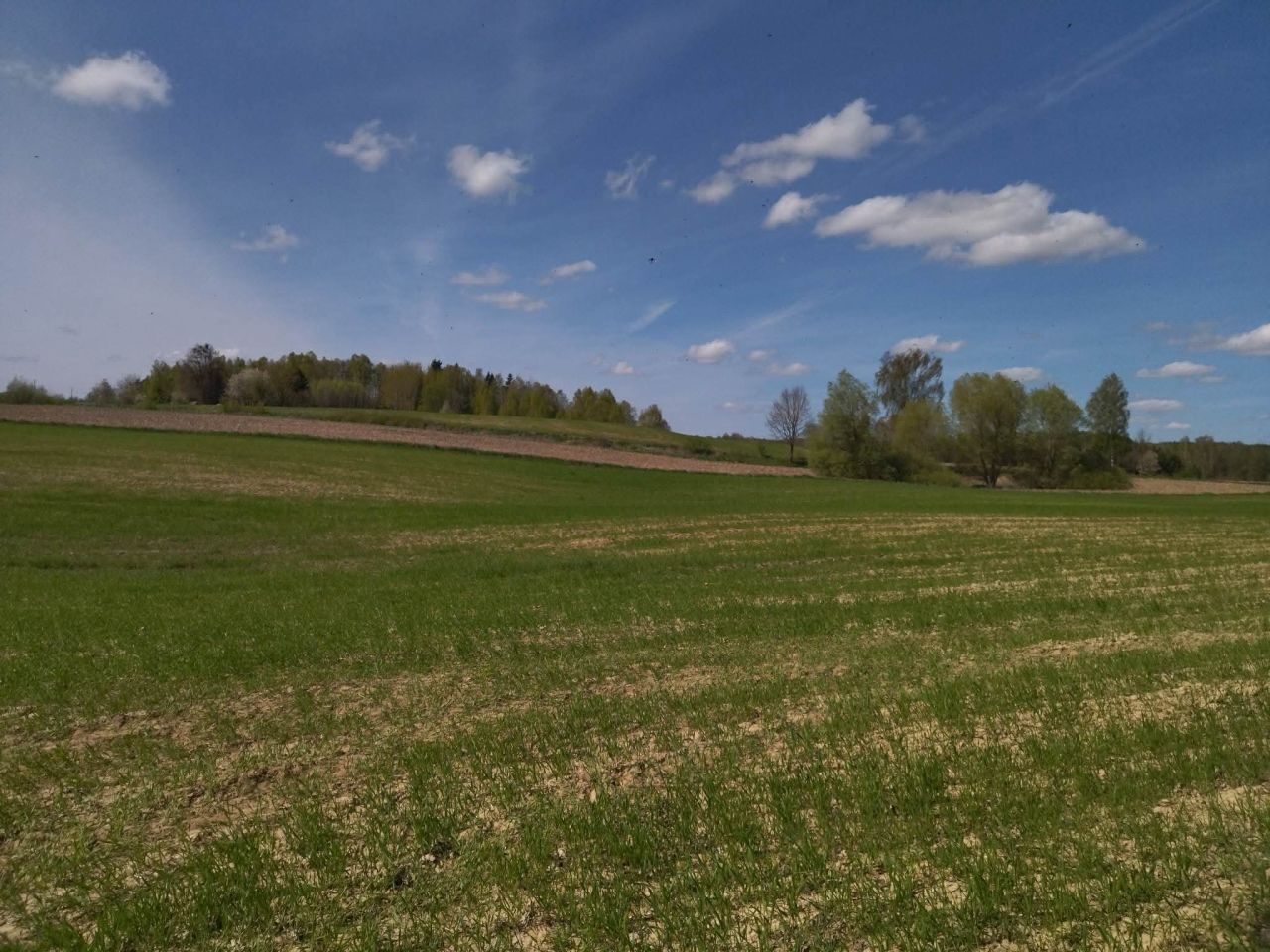 Działka budowlana Łączno. Zdjęcie 14