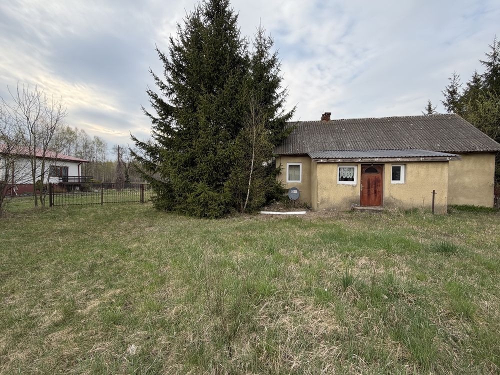 Działka rolno-budowlana Pająków. Zdjęcie 7