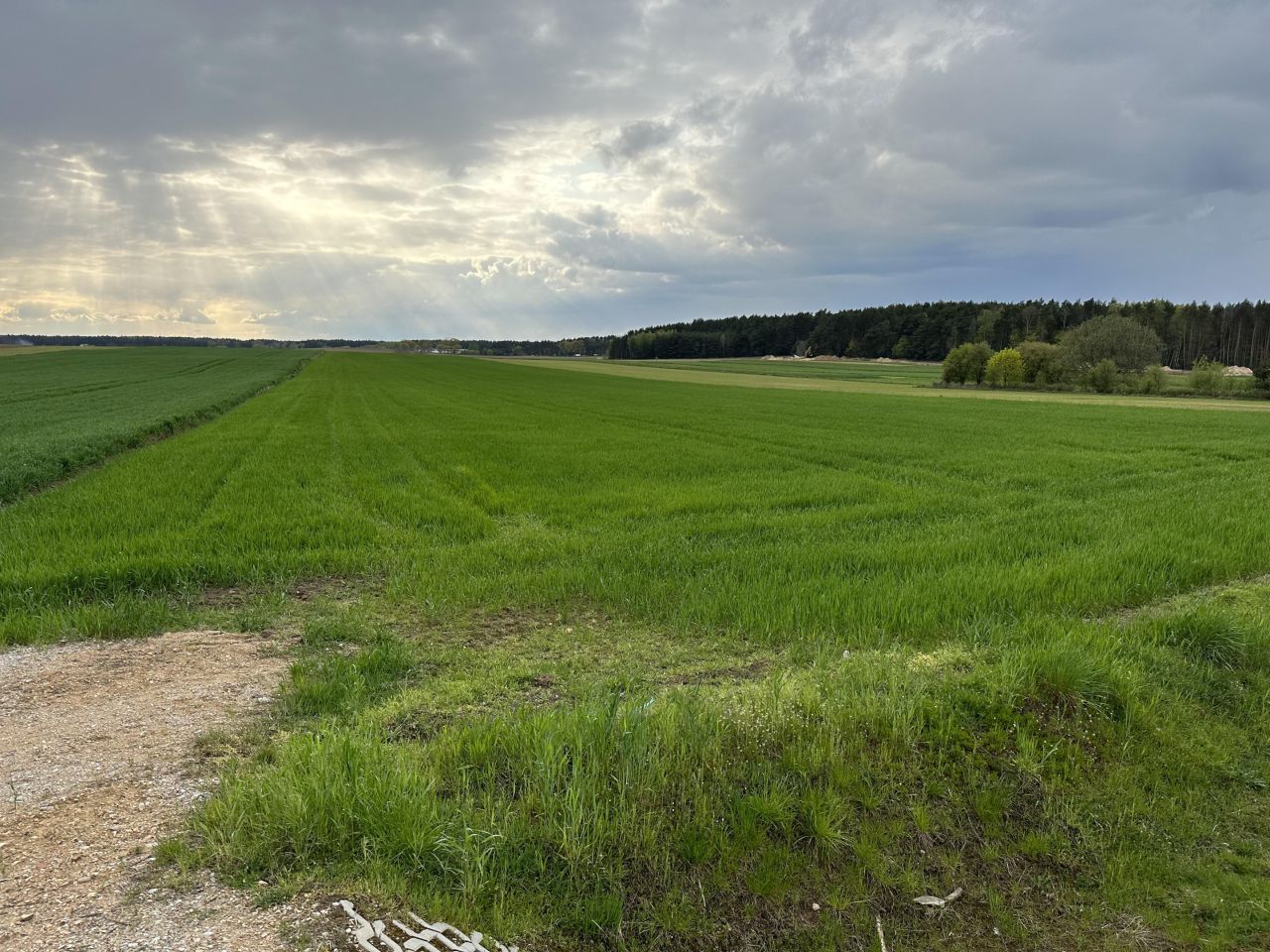 Działka inwestycyjna Sierzputy Młode. Zdjęcie 7