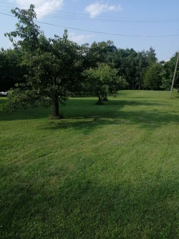 Działka rolno-budowlana Drużbice-Kolonia. Zdjęcie 4