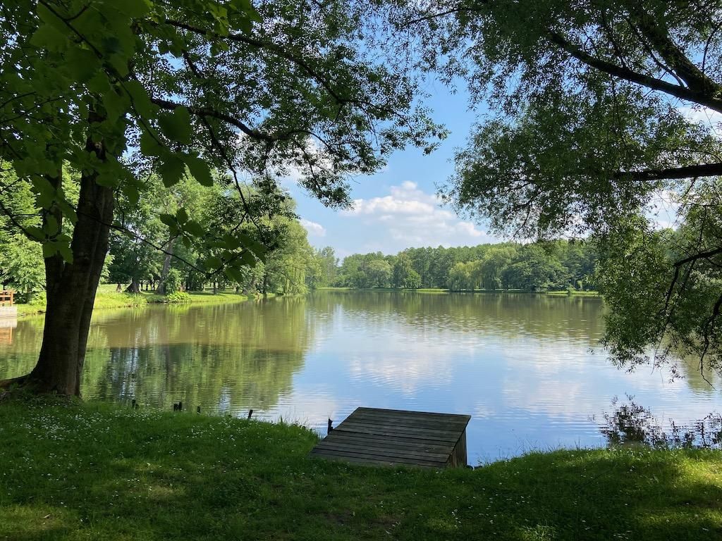 Działka budowlana Radziejowice, ul. Główna. Zdjęcie 5