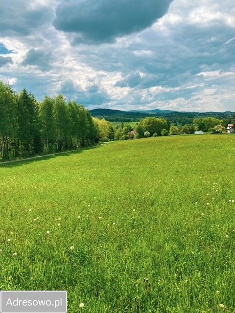 dom wolnostojący, 5 pokoi Tarnawa. Zdjęcie 9