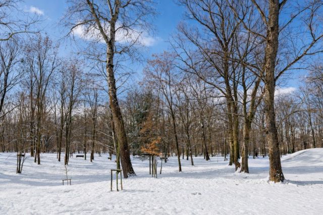 Mieszkanie 2-pokojowe Warszawa Bemowo, ul. Obrońców Tobruku. Zdjęcie 12