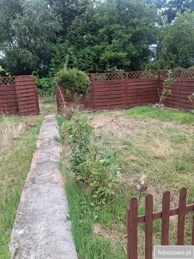 Działka rod Wrocław Stare Miasto. Zdjęcie 5