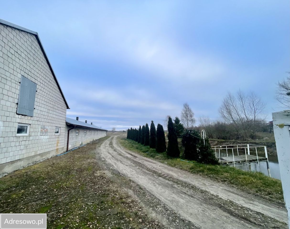 dom wolnostojący, 5 pokoi Brzezia. Zdjęcie 11