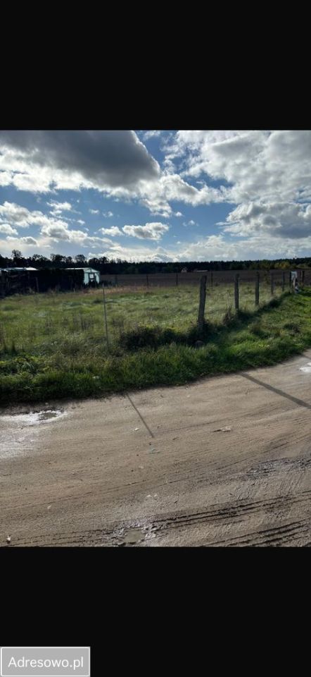 Działka budowlana Dominice. Zdjęcie 5