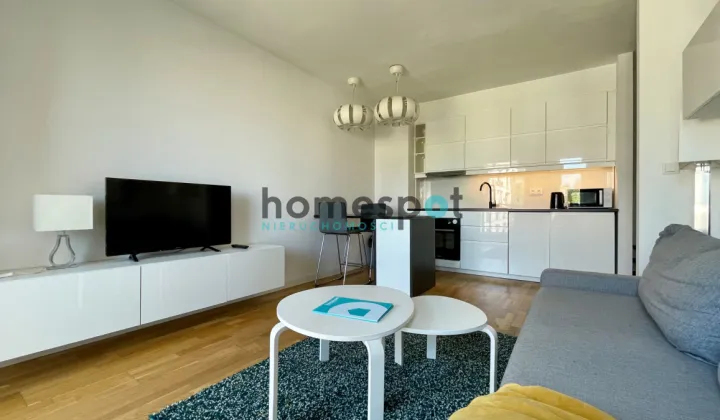 Mieszkanie 2-pokojowe Poznań Wilda, ul. Mieczysława Niedziałkowskiego