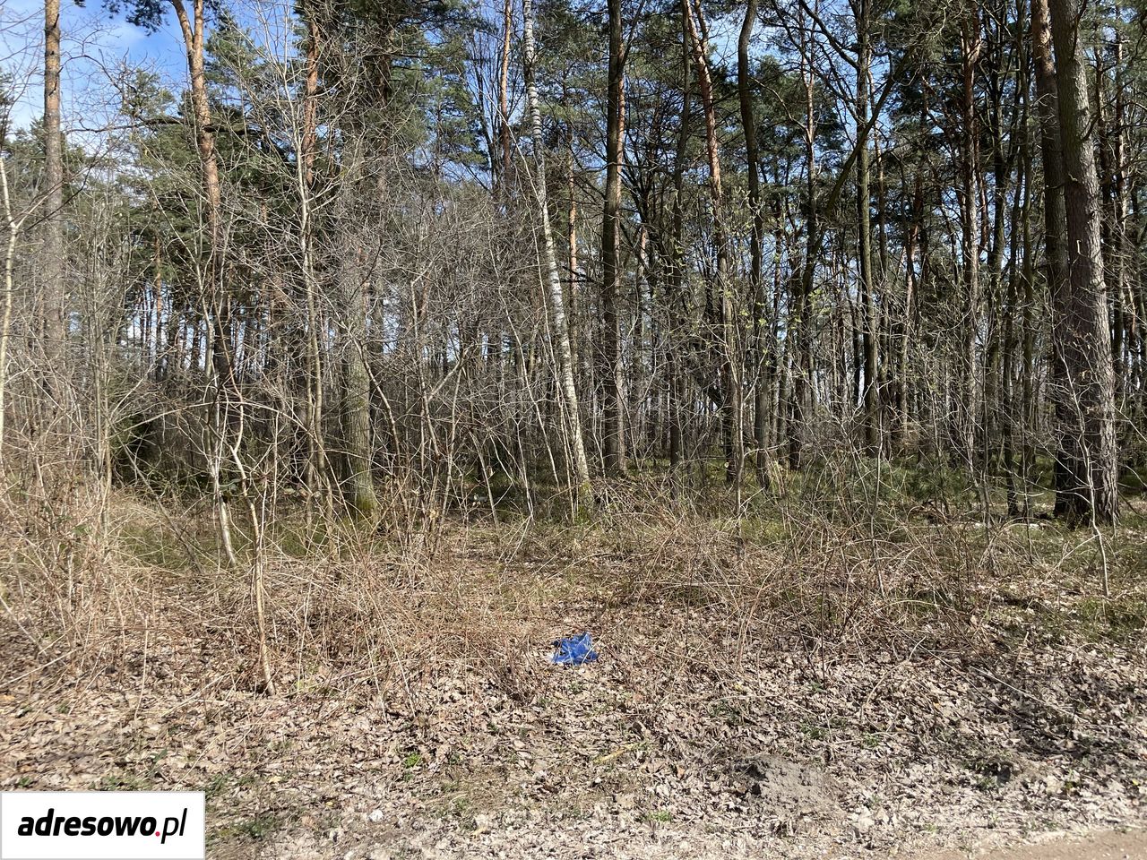 Działka budowlana Władysławów, ul. Przedwiośnia. Zdjęcie 3