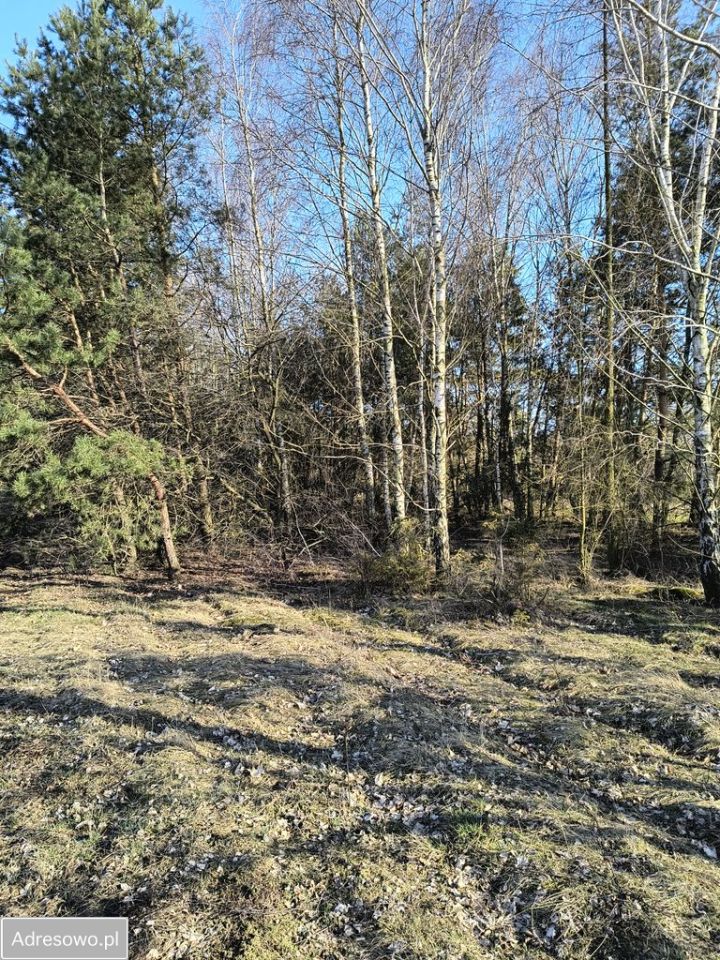 Działka budowlana Wysieradz. Zdjęcie 2