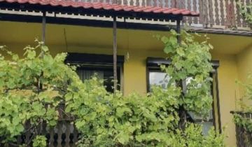 bliźniak Głuchołazy