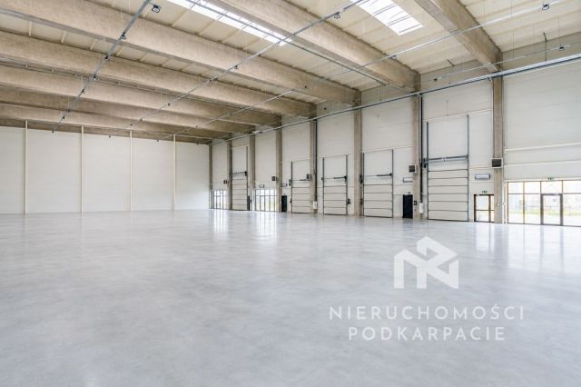 Hala/magazyn Rzeszów Dworzysko, ul. Biznesowa. Zdjęcie 33