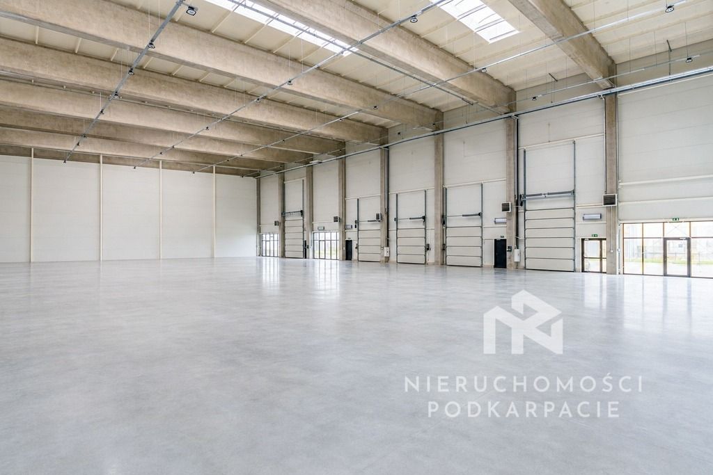 Hala/magazyn Rzeszów Dworzysko, ul. Biznesowa. Zdjęcie 33
