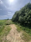 Działka rolno-budowlana Przygodzice, ul. Krańcowa. Zdjęcie 3