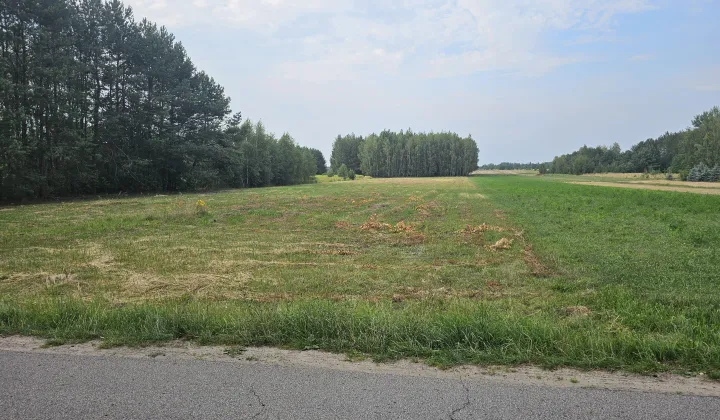 Działka rolno-budowlana Modrzew