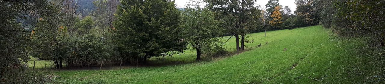 Działka budowlana Królowa Polska. Zdjęcie 5