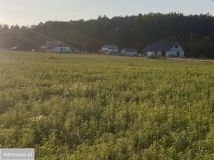 Działka budowlana Stronno, ul. Leśna. Zdjęcie 3