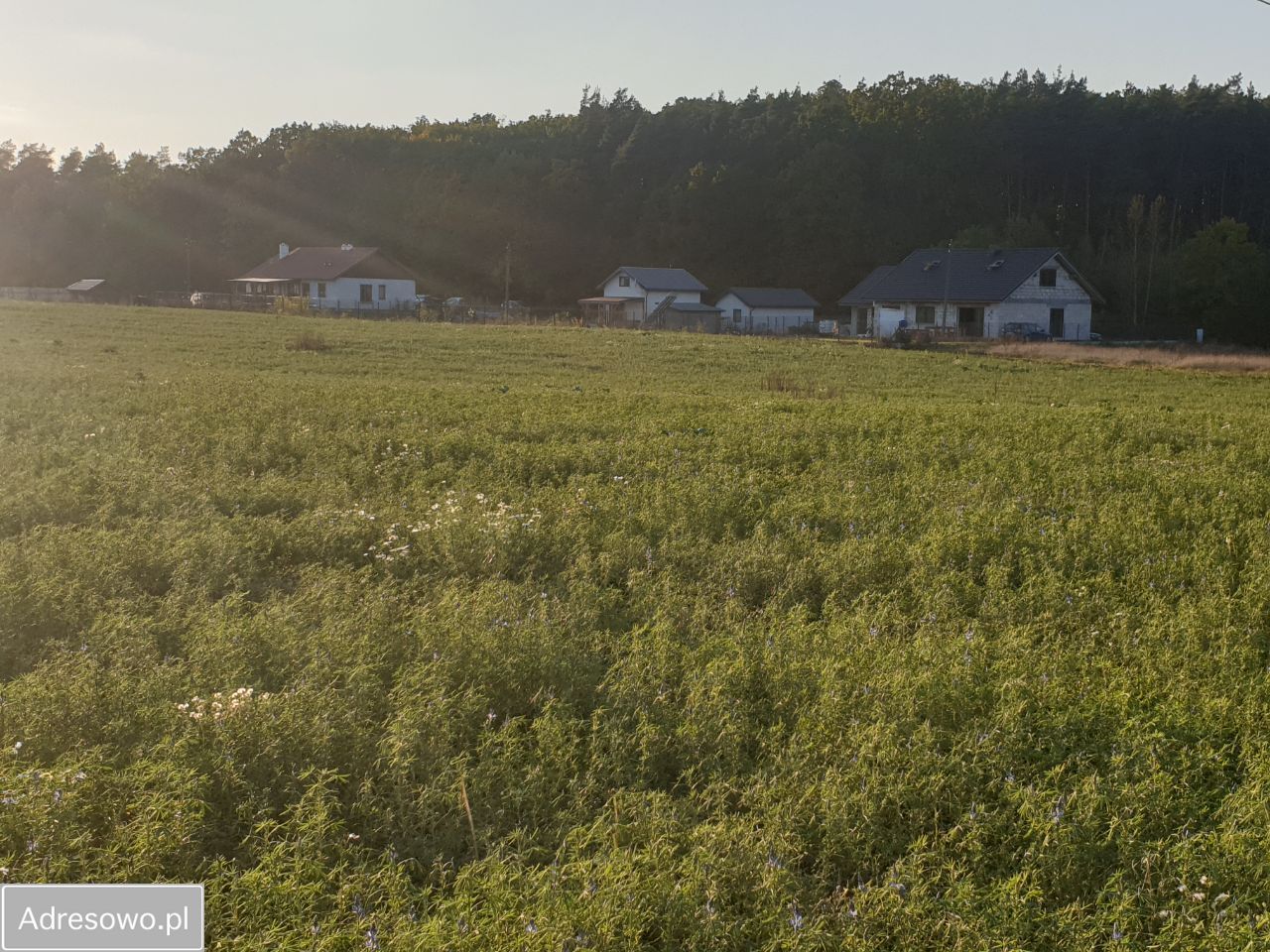 Działka budowlana Stronno, ul. Leśna. Zdjęcie 4