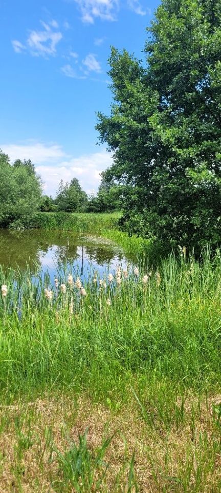 Działka rekreacyjna Rutki-Borki Rutki-Bronisze