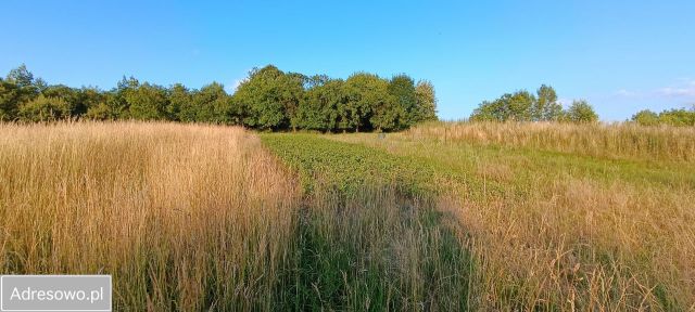 Działka budowlana Bielsko-Biała Stare Bielsko, ul. Gruntowa. Zdjęcie 1