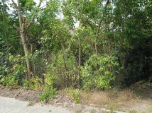 Działka budowlana Obrzycko, ul. Zielona. Zdjęcie 4