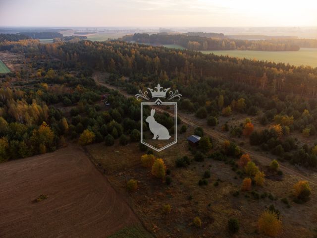 Działka budowlana Gnojno. Zdjęcie 10