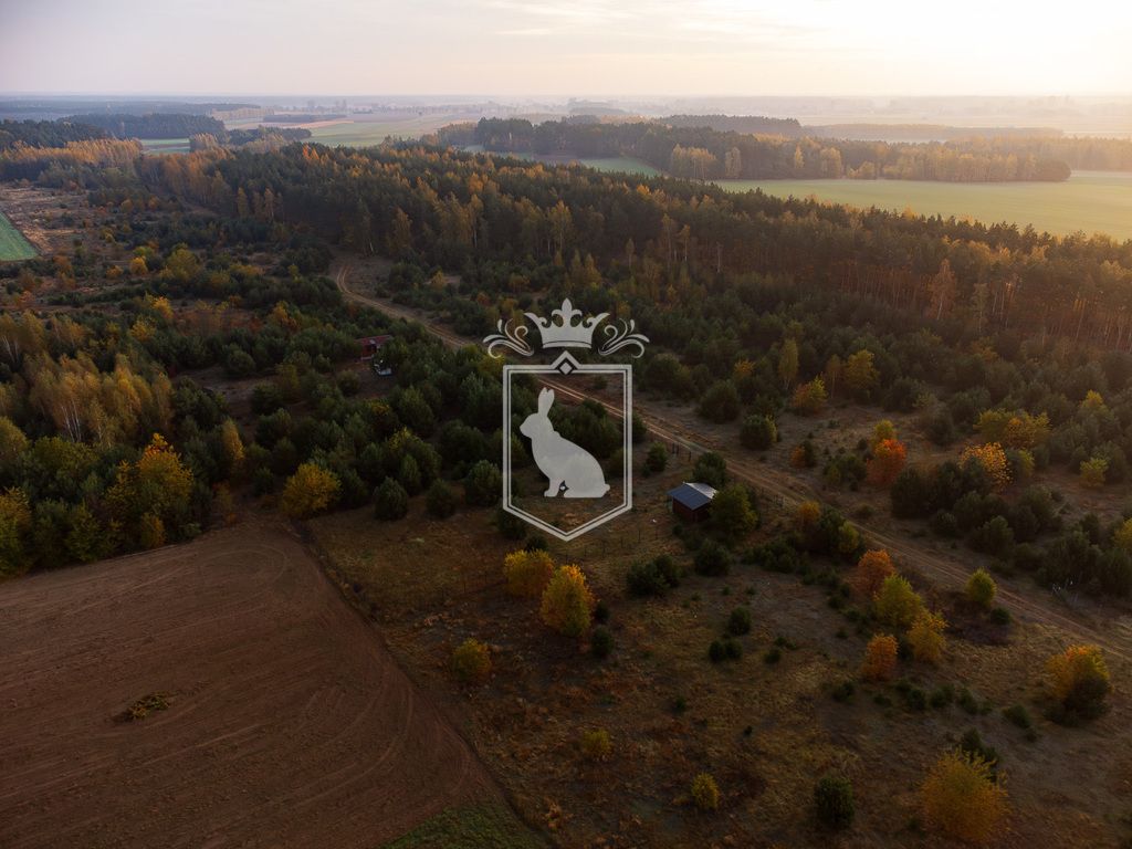 Działka budowlana Gnojno. Zdjęcie 10