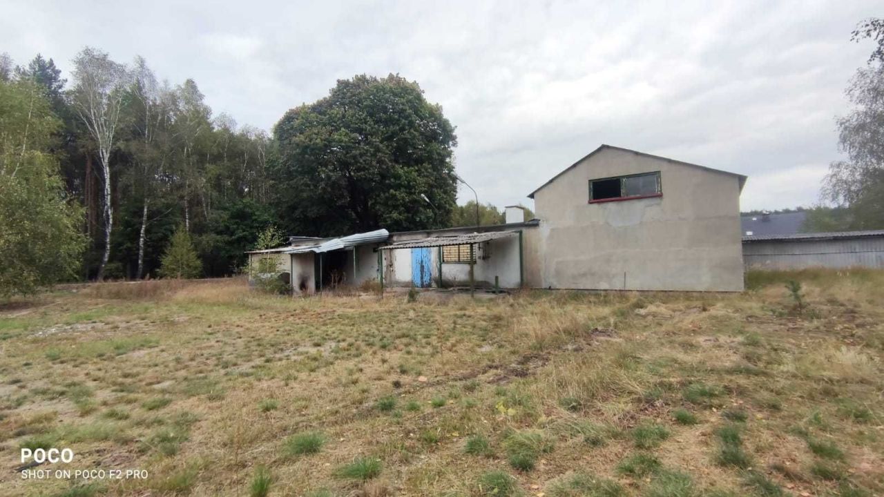 Hala/magazyn Zielonka